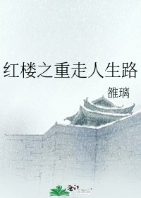 《红楼之重走人生路》