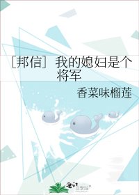 《我的媳妇是个将军(邦信向历史同人)》