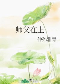 《师父在上我在下》