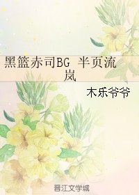 《(BG/黑篮赤司)半页流岚》