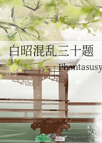 《白昭混乱三十题》