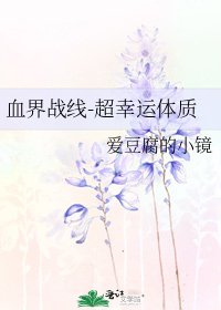 《血界战线-超幸运体质》