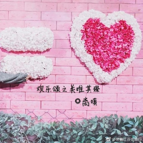 《欢乐颂之依依其琛》
