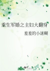 重生军婚之主妇大翻身