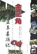 金三角十五年亲历记