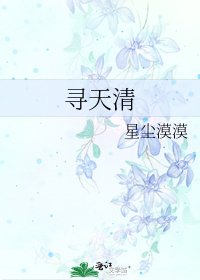 《寻天清》