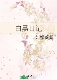 《白黑日记》
