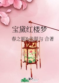 《宝黛红楼梦》