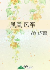 《凤凰 风筝》