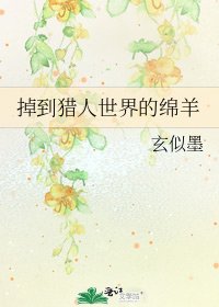 《掉到猎人世界的绵羊》
