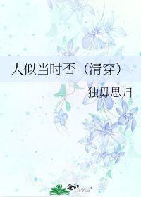 《人似当时否(清穿)》