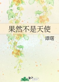 《果然不是天使》