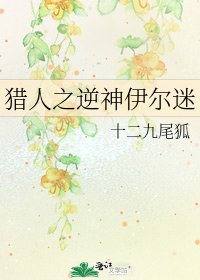 猎人之逆神伊尔迷