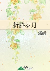 《折腾岁月》