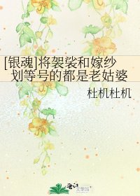 [银魂]将袈裟和嫁纱划等号的都是老姑婆