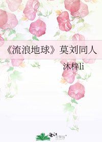 《流浪地球》