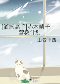 [灌篮高手]赤木晴子营救计划