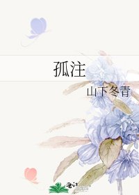 《孤注》