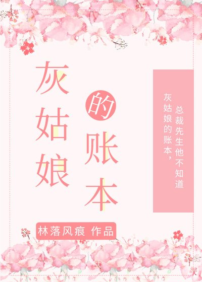 《灰姑娘的账本》