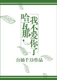 《哈瓦那,我不爱你了》