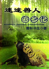《迷途返乡记》