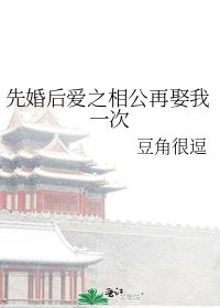 《先婚后爱之相公再娶我一次》
