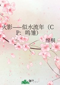 火影——似水流年（CP：鸣雏）