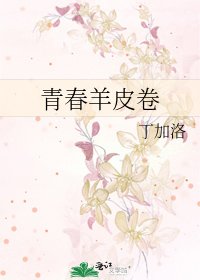《青春羊皮卷》