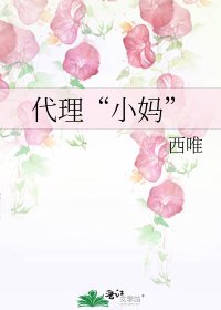 《代理“小妈”》