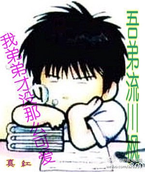 《我的弟弟可没那么可爱之老弟流川枫》