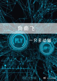 《向南飞》