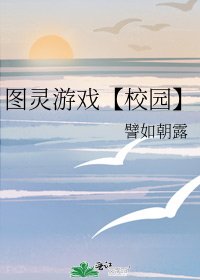 《图灵游戏【校园】》
