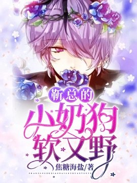 《靳总的小奶狗软又野》