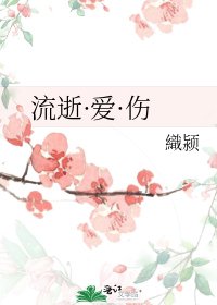 《流逝·爱·伤》