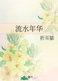《流水年华》