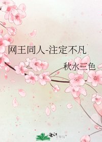 《网王同人-注定不凡》