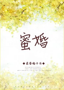 《觅婚》