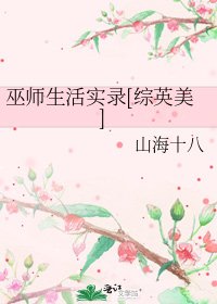 巫师生活实录[综英美]