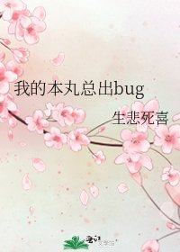 《我的本丸总出bug》