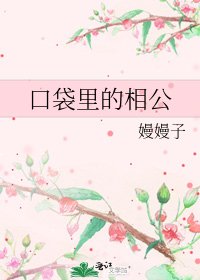 《口袋里的相公》