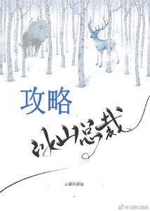 《攻略冰山总裁》
