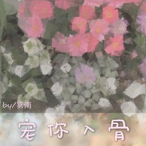 《宠你入骨》