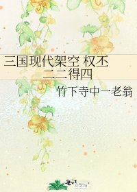 《三国现代架空 权丕 二二得四》