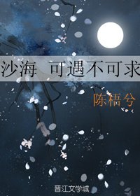《沙海-可遇不可求》