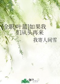 [全职/叶蓝]如果我们从头再来