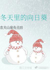 冬天里的向日葵