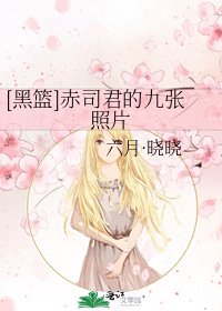 [黑篮]赤司君的九张照片