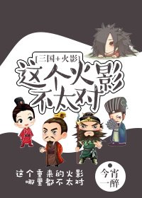 这个火影不太对[三国+火影]