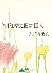 [综]红楼之圆梦巨人