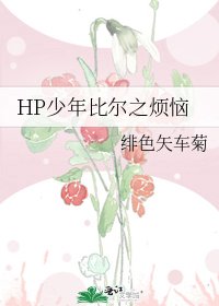 《HP少年比尔之烦恼》